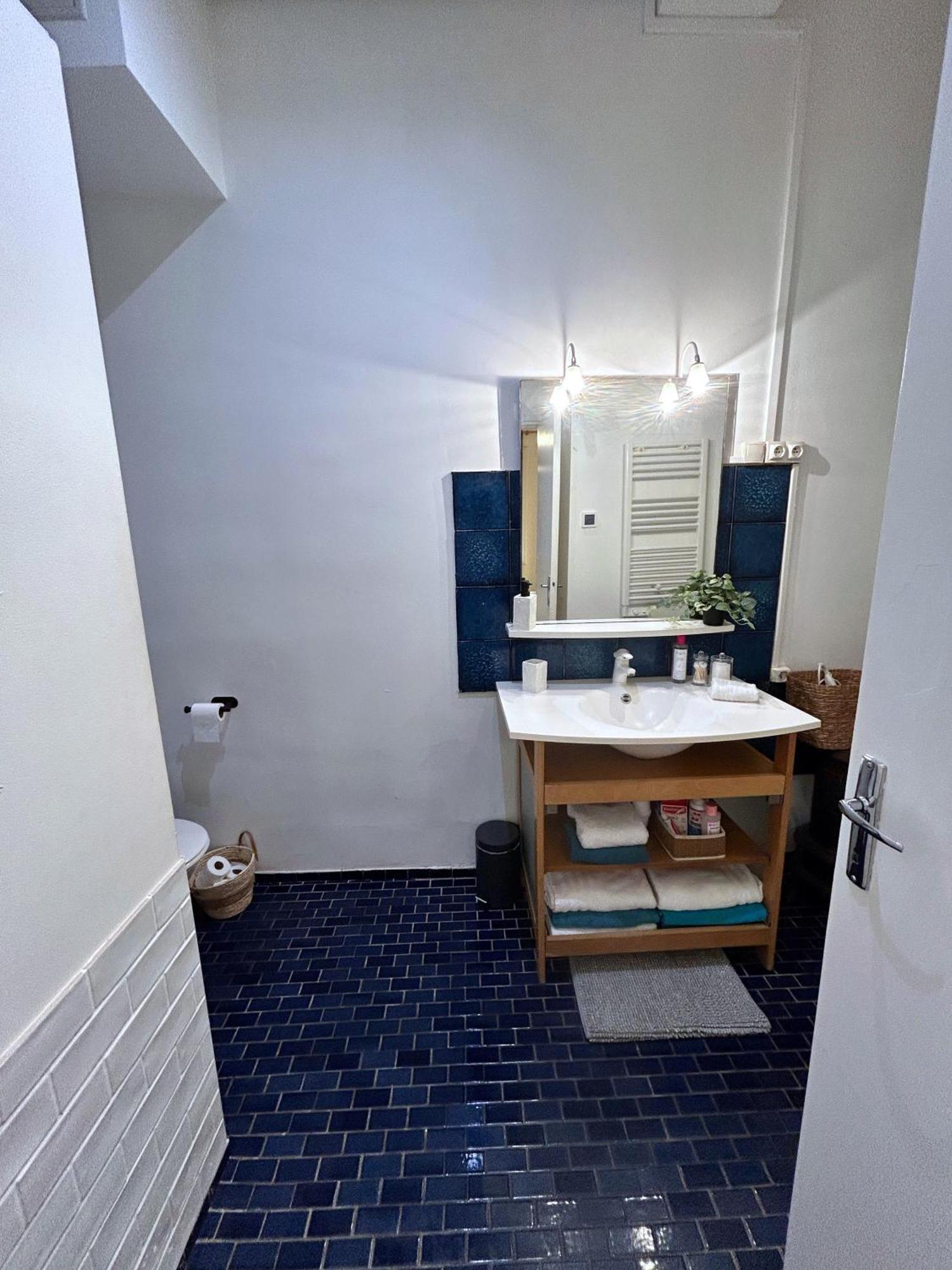Le Patio Riquet Apartment Toulouse Exterior photo